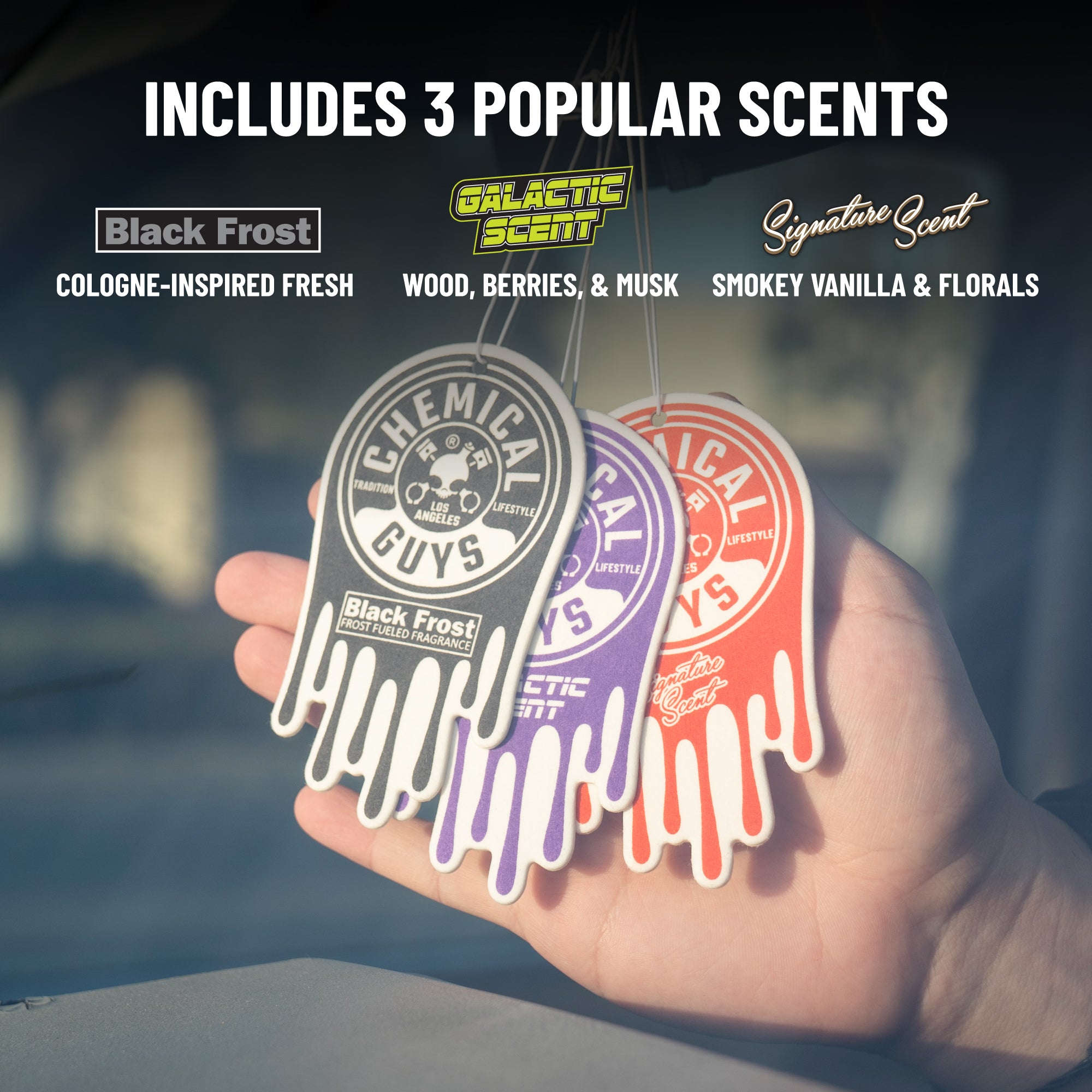 Hanging Air Freshener Variety Pack - Image 2