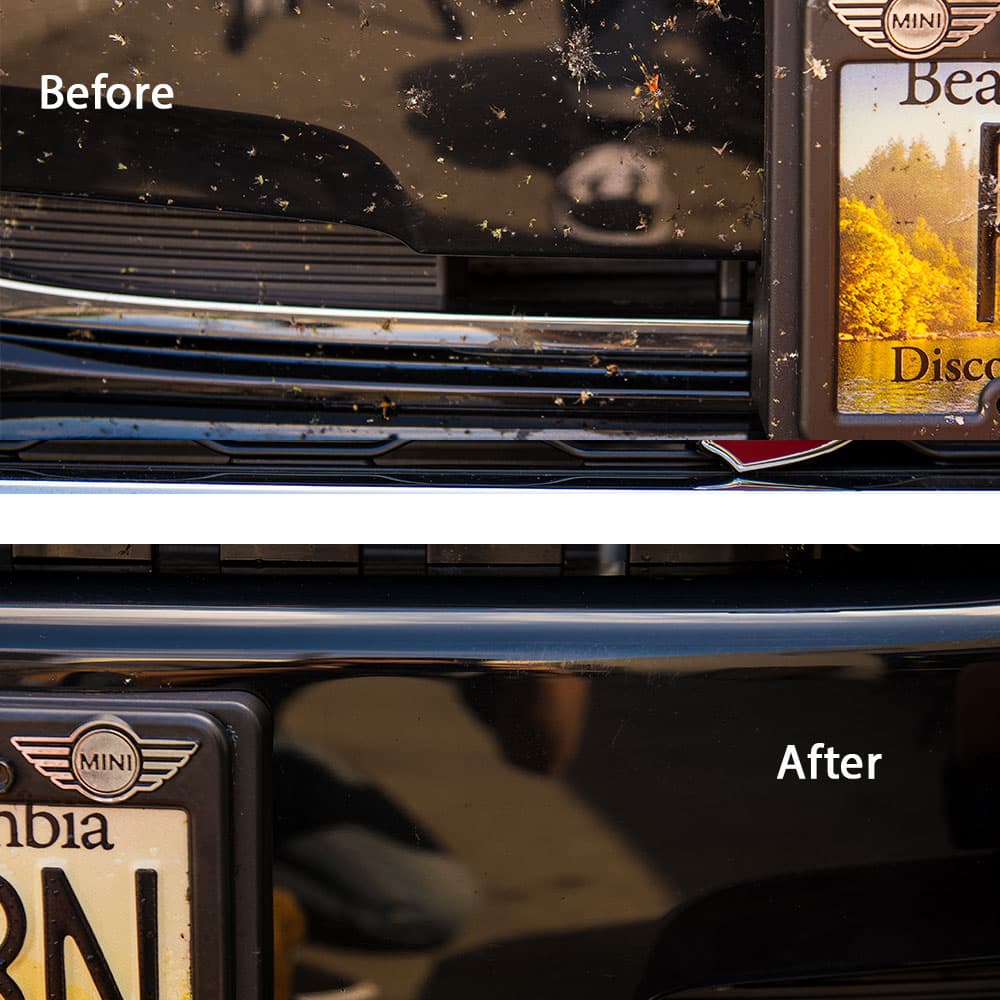 Bug & Tar Remover Car Wash - Image 7